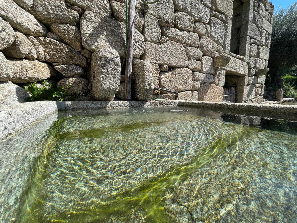Casa Botica - Geres Country House Terras de Bouro Εξωτερικό φωτογραφία