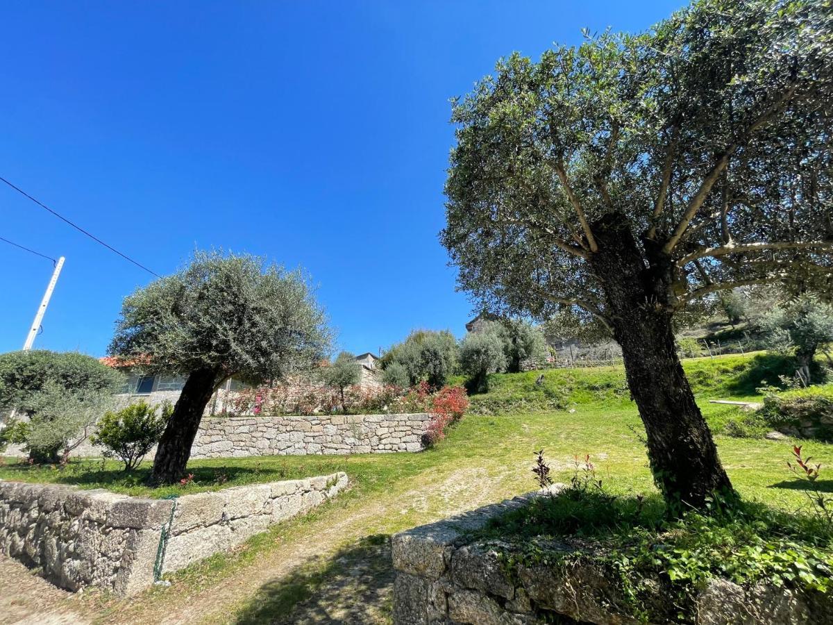 Casa Botica - Geres Country House Terras de Bouro Εξωτερικό φωτογραφία